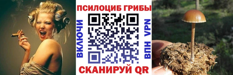 Псилоцибиновые грибы GOLDEN TEACHER  Морозовск 