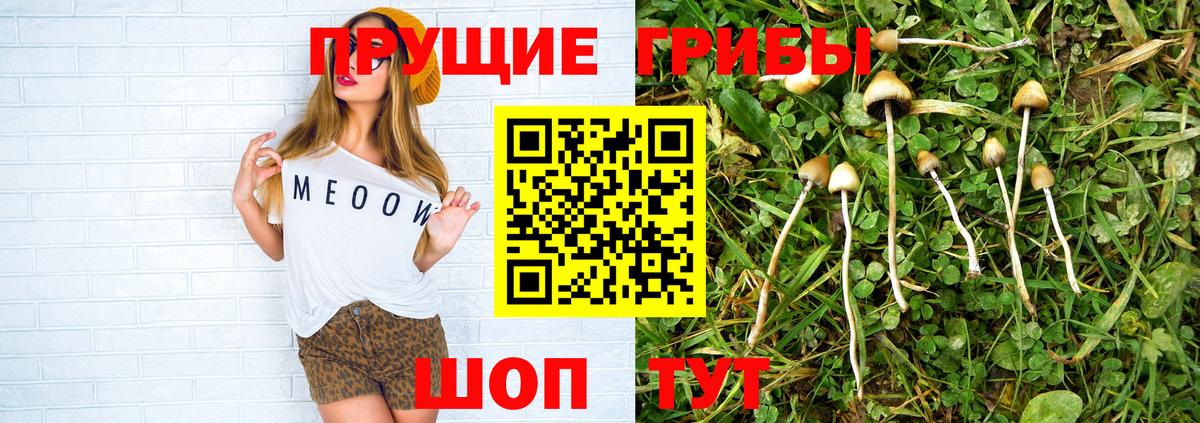 Морозовск  Галлюциногенные грибы ЛСД  Вход с VPN 